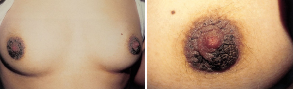 Qattiq BDSM porno videolarini tomosha qiling