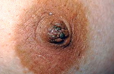 Mening mobil telefonimda dostlarimning jinsiy aloqa qilishini tomosha qiling