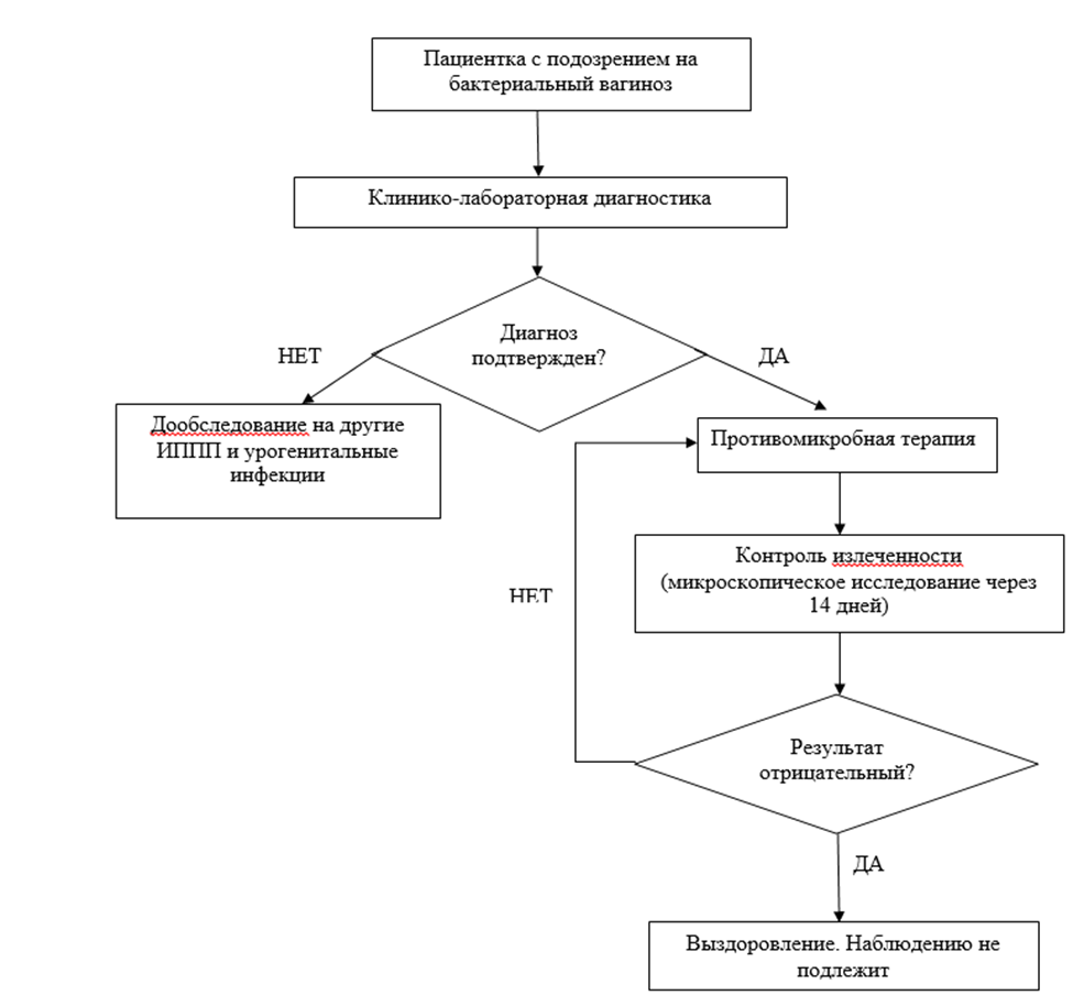 Патогенез бактериального вагиноза. Бактериальный вагиноз схема. Схема лечения бактериального вагиноза. Бактериальный вагиноз схема лечения.