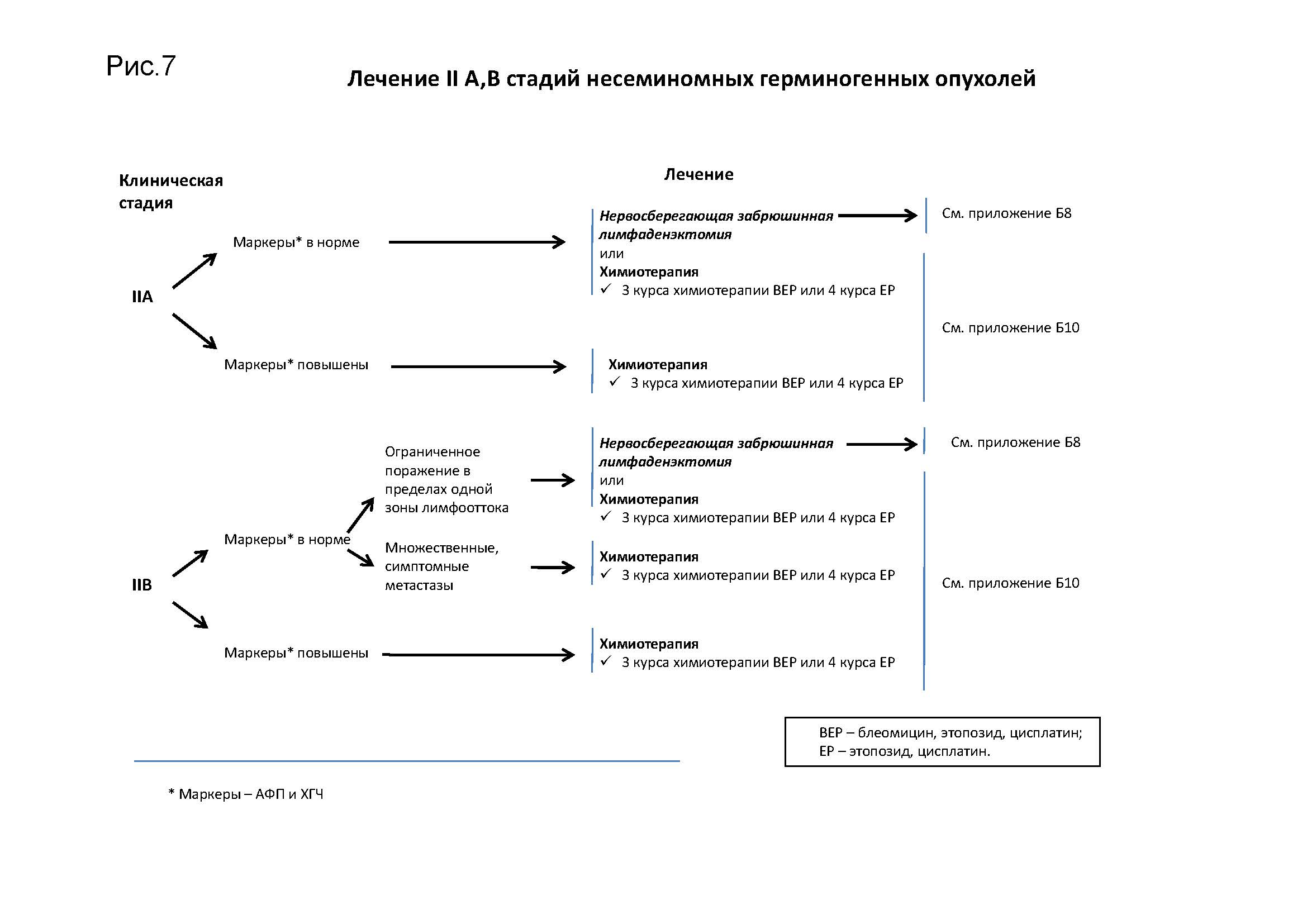 Герминогенные опухоли клинические рекомендации. Схема лечения герминогенных опухолей. АФП при герминогенных опухолях. Патогенез герминогенно-клеточной опухоли.