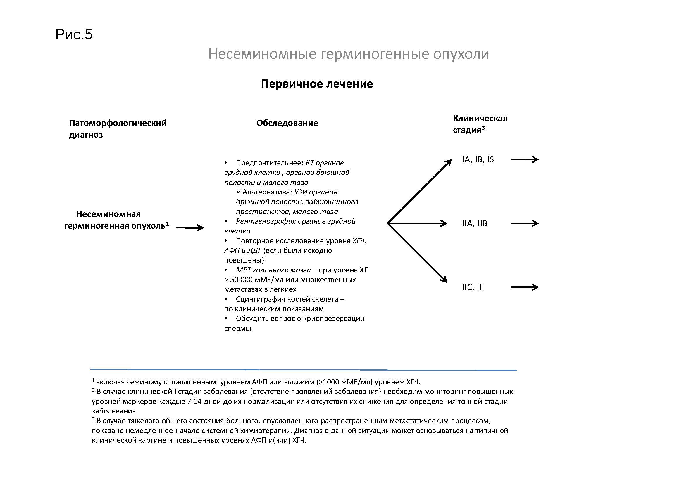 Герминогенные опухоли клинические рекомендации. Герминогенная несеминомная опухоль. Герминогенные опухоли у мужчин. Опухолевые маркеры герминогенных опухолей.