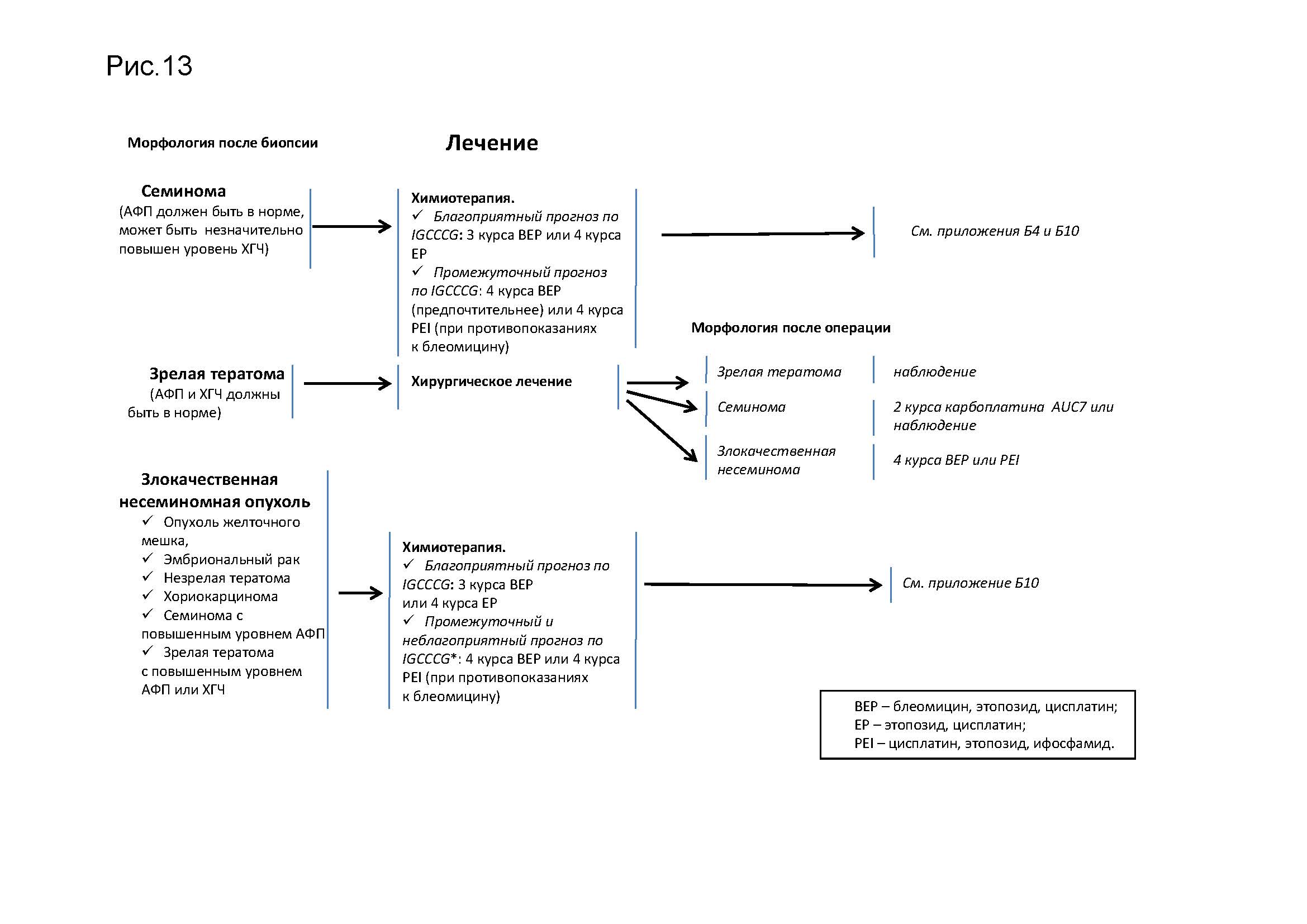 Герминогенные опухоли клинические рекомендации. Герминогенная несеминомная опухоль. Схема лечения герминогенных опухолей. IGCCCG классификация.