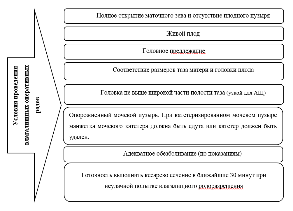 Фантом влагалищного исследования. Виртумед.