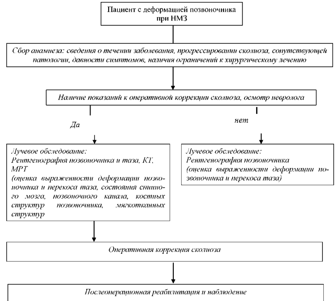 Нервно мышечный сколиоз тест нмо. Нервно мышечный сколиоз тест нмо