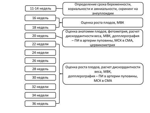 Многоплодная беременность по утвержденным клиническим рекомендациям. Многоплодная беременность клинические рекомендации 2022. Многоплодная беременность дифференциальная диагностика. Многоплодная беременность клинические рекомендации. Диагностика многоплодной беременности алгоритм.